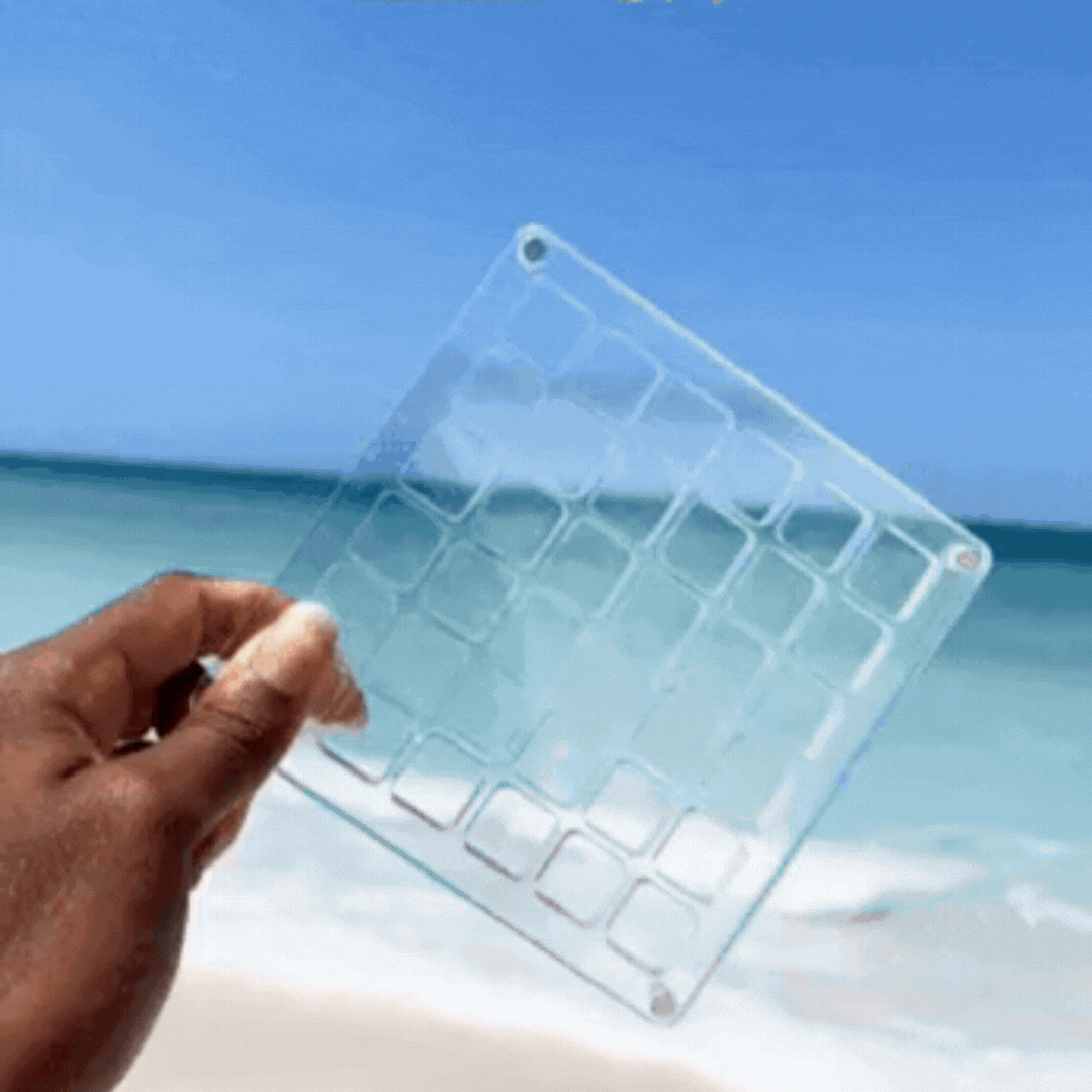 Tiny Treasures™ - Seashell Display