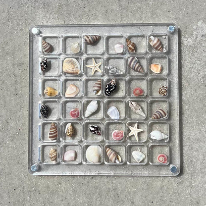 Tiny Treasures™ - Seashell Display