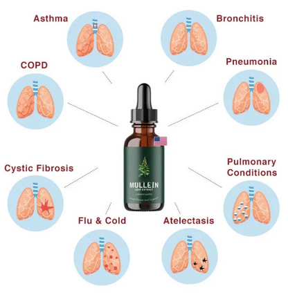 Breathe Easy Herbal Drops